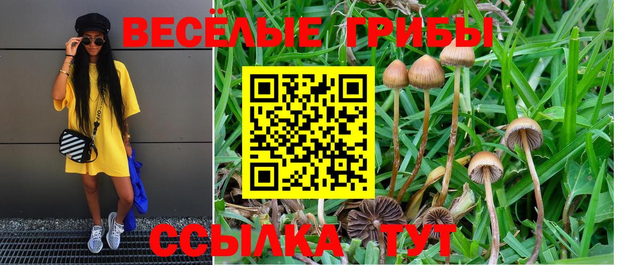Псилоцибиновые грибы MAGIC MUSHROOMS Губкин